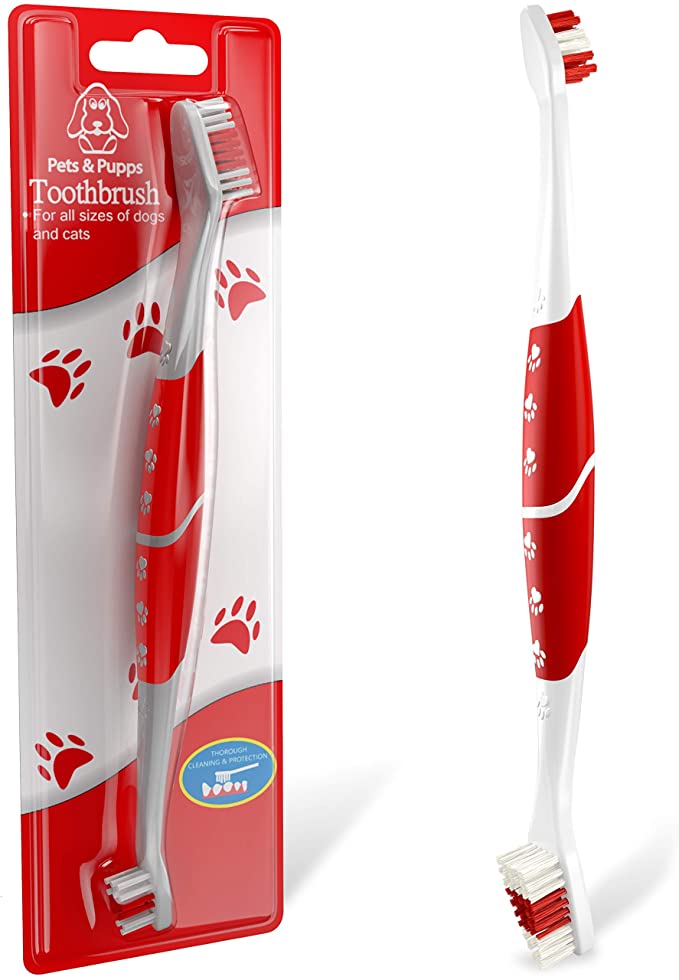 3 Best Cat Toothbrushes Cateuphoria